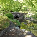 Photos: 那須野が原公園の池の橋（5月6日）