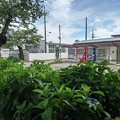 Photos: 烏ヶ森公園の自動販売機（6月20日）