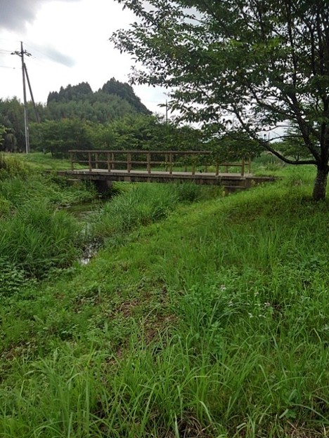 小川に架かる橋（7月3日）