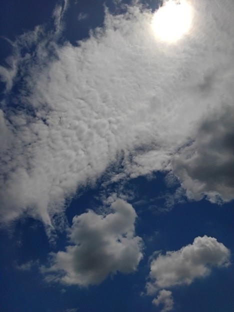 雲のある青空（7月28日）