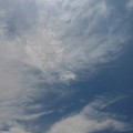 Photos: 薄い雲（7月30日）