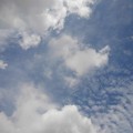 Photos: 鱗雲もある空（8月21日）
