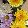 Photos: 花瓶の花（8月29日）