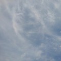 Photos: 薄い雲（8月25日）