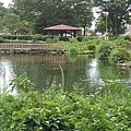 Photos: 美しい烏ヶ森公園の池の景色（8月12日）