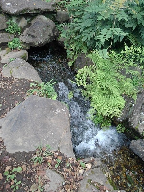 烏ヶ森公園の池の人工の滝（8月12日）