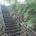 Photos: 川崎城跡公園の丘のモミジのある階段（8月28日）