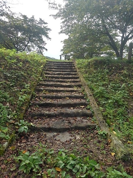 川崎城跡の丘の頂上へ続く階段（8月28日）