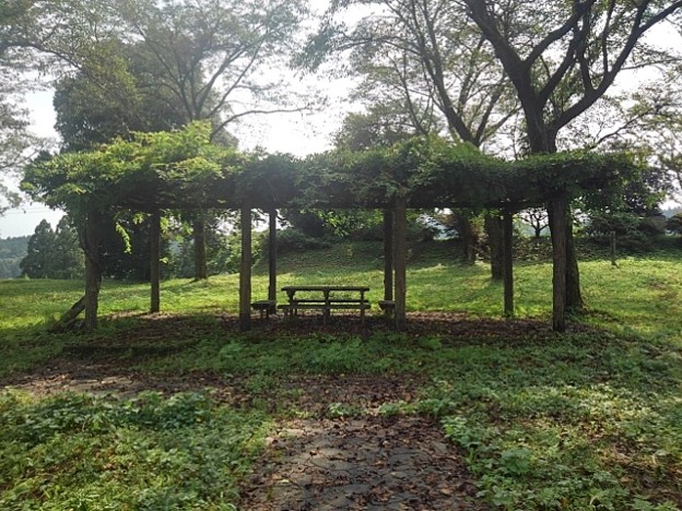 川崎城跡公園の丘のてっぺんの休憩所（8月28日）