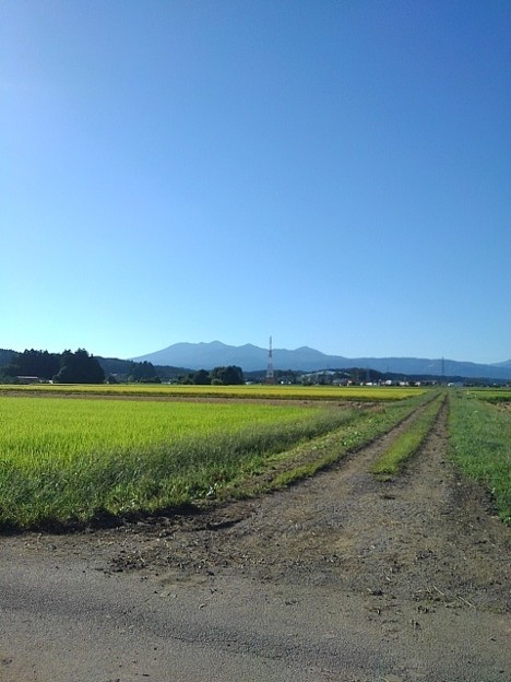 Photos: 山と水田（9月20日）