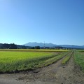 Photos: 山と水田（9月20日）