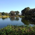 烏ヶ森公園の池の広域の眺め（10月3日）