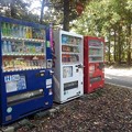 Photos: 森の自動販売機（10月3日）
