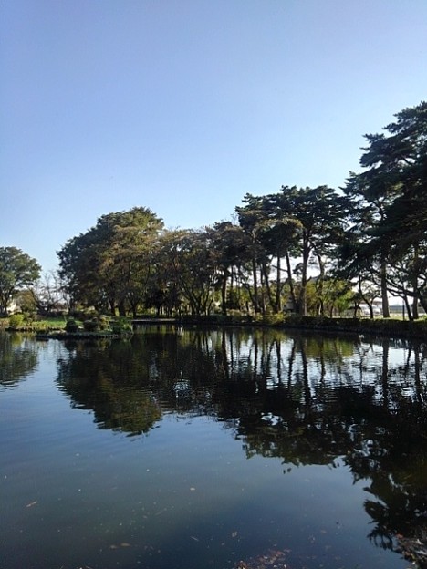 Photos: 烏ヶ森公園の青く染まった池の景色（10月3日）