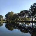 烏ヶ森公園の青く染まった池の景色（10月3日）