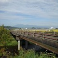 Photos: 橋（10月5日）
