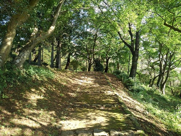 Photos: 烏ヶ森公園の丘のモミジもある道（10月3日）