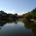 Photos: 烏ヶ森公園の奥に小さく橋も見える池の景色（10月3日）