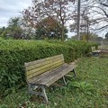 小さな公園のベンチのある景色（10月17日）