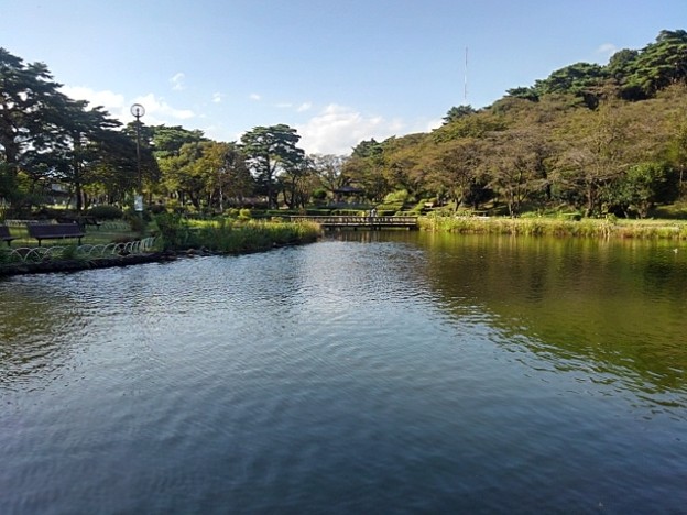 Photos: 烏ヶ森公園の池と丸い街灯（10月3日）