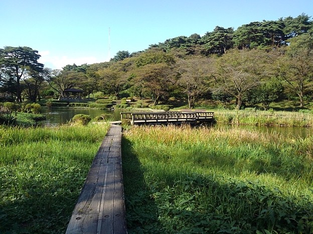 Photos: 烏ヶ森公園の池の遊歩道（10月3日）