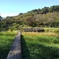 Photos: 烏ヶ森公園の池の遊歩道（10月3日）
