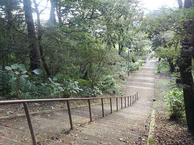 Photos: 烏ヶ森公園の丘の下り階段（10月3日）
