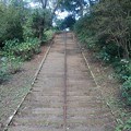 Photos: 烏ヶ森公園の丘の上り階段（10月3日）