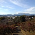 長峰公園の丘の階段の上からの眺め（10月30日）
