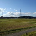 Photos: 鉄塔のある水田（10月24日）