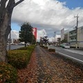 Photos: 落ち葉の道（11月10日）
