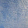 Photos: 薄い雲（10月31日）