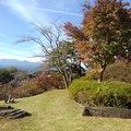 Photos: 長峰公園の丘の上のモミジの木と山（10月30日）
