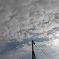 電柱の奥の鱗雲（11月18日）