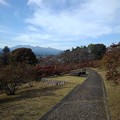 長峰公園の丘の石のベンチと山（10月30日）