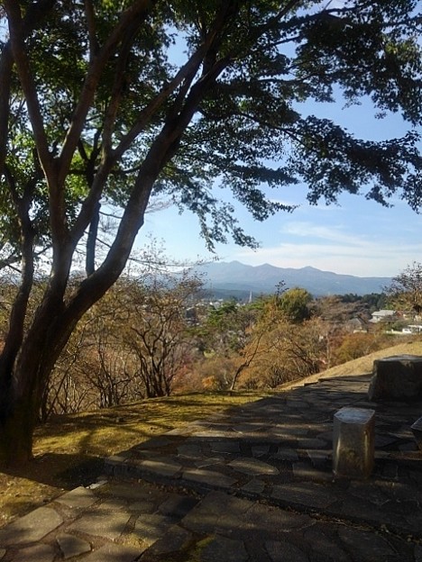 長峰公園の丘のモミジの木の間から見える山（10月30日）