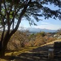 長峰公園の丘のモミジの木の間から見える山（10月30日）
