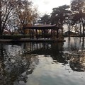 烏ヶ森公園の池の岸辺の休憩所（11月20日）