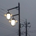 雨の夕方の街灯（11月22日）