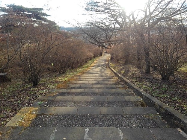 長峰公園の丘のゆったり階段・下り（12月4日）