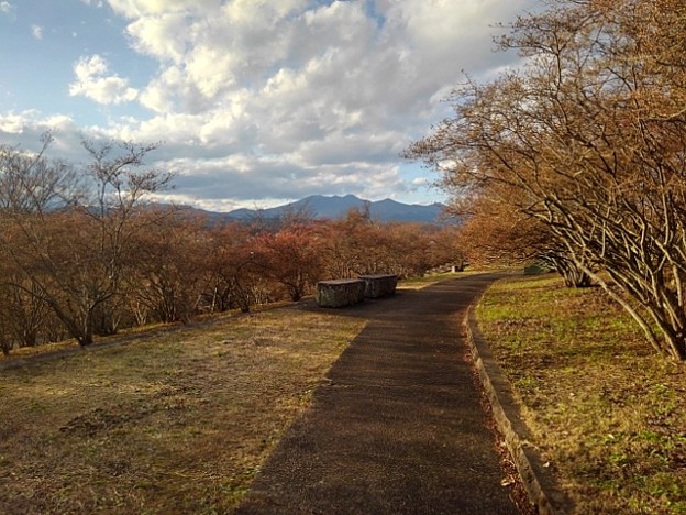 長峰公園の道から見えた山（12月4日）