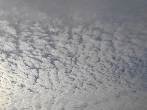 朝の鱗雲（12月24日）