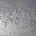 Photos: 朝の鱗雲（12月24日）