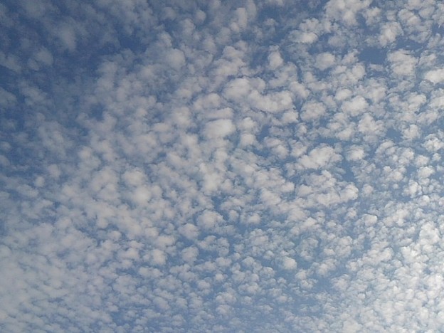 午後の鱗雲（12月24日）