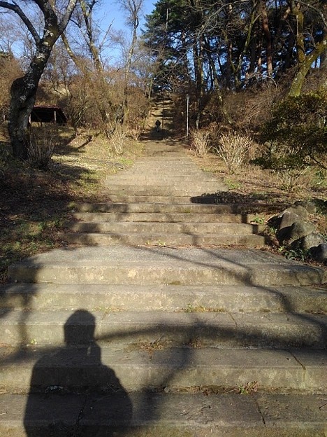 烏ヶ森公園の丘の急な階段（12月19日）