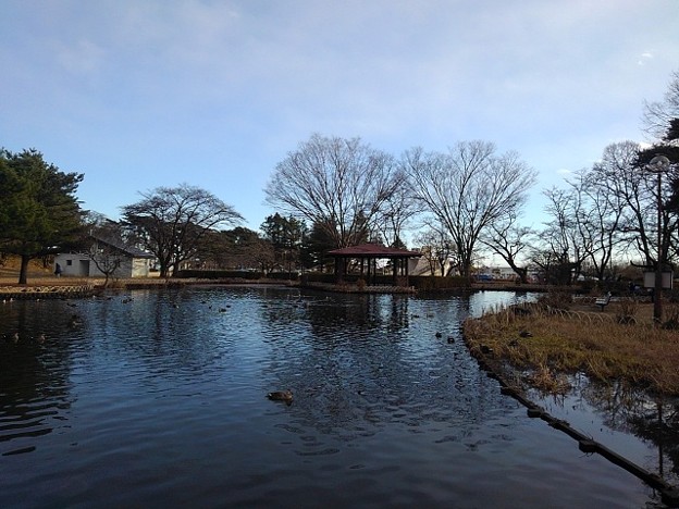 烏ヶ森公園の池の橋からの景色（12月19日）