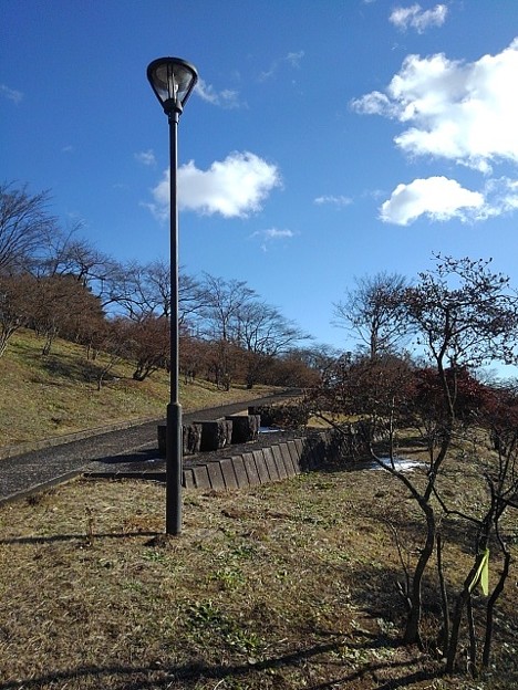 長峰公園の丘の街灯とベンチ（1月1日）