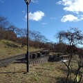 長峰公園の丘の街灯とベンチ（1月1日）