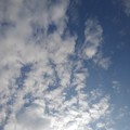 Photos: 雲（1月10日）
