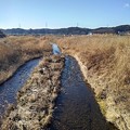 田園地帯を流れる川（1月13日）